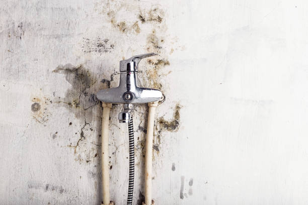 Best Mold Testing  in Twin City, GA