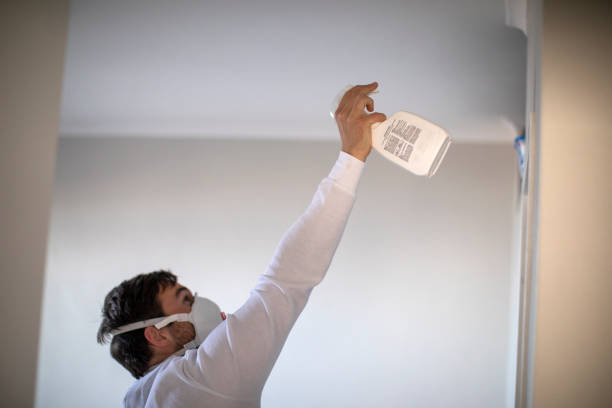 Best Home Mold Removal  in Twin City, GA