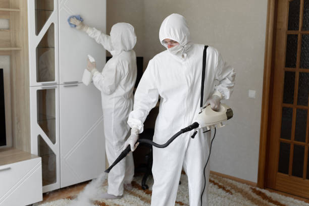 Best Black Mold Removal  in Twin City, GA